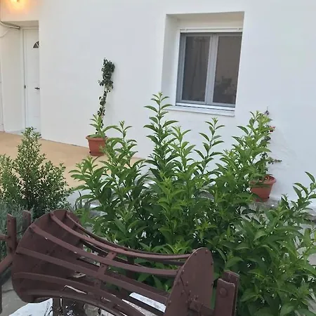 T&t House