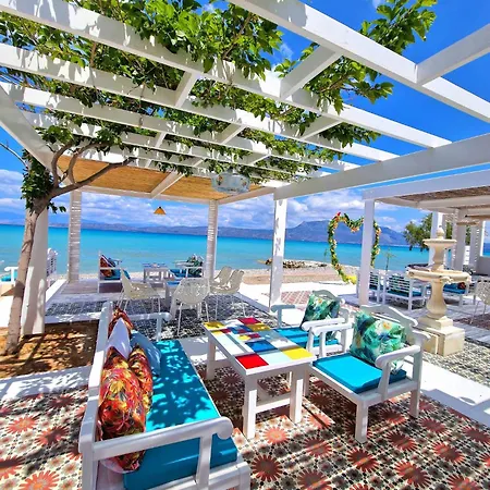T&t House Lechaio