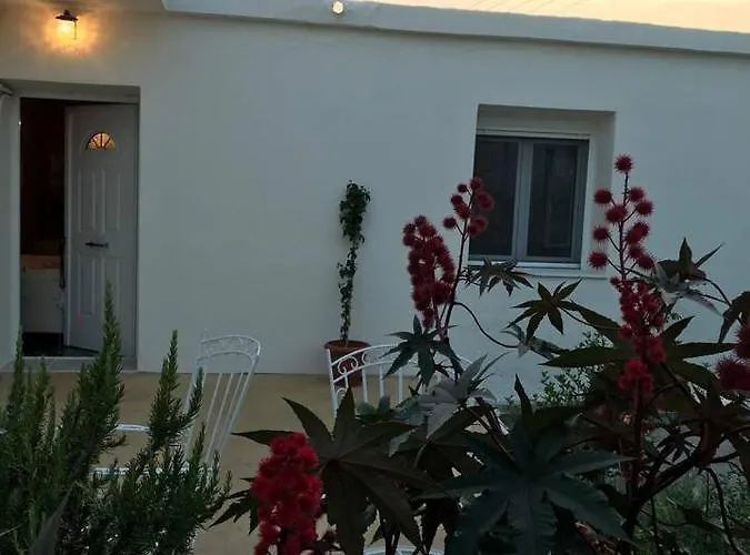 T&t House Casa vacanze *